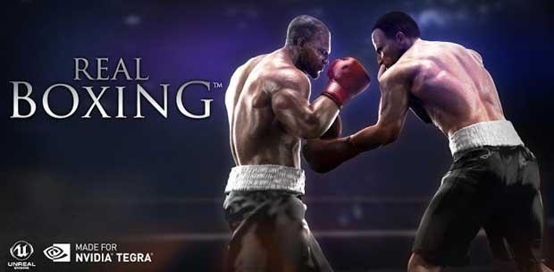 Real Boxing [2014, Sport (Boxing) / 3D]