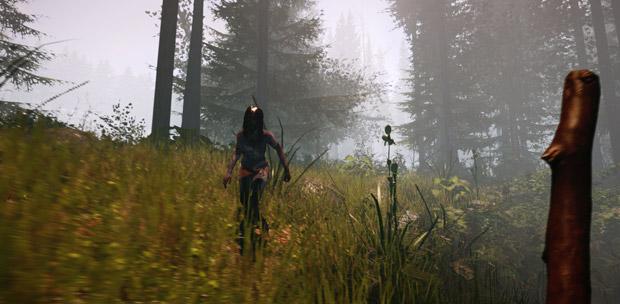 The Forest (2014) PC [ENG] Early Acces | RePack