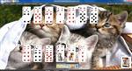   SolSuite Solitaire 2014 14.5 RePack by D!akov