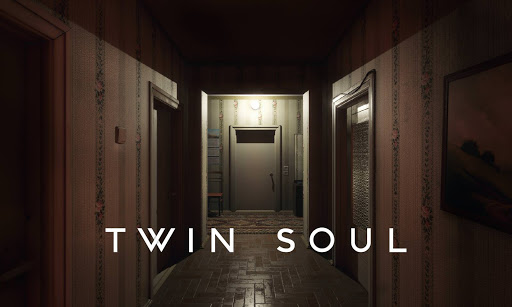 Twin Soul (2020)  