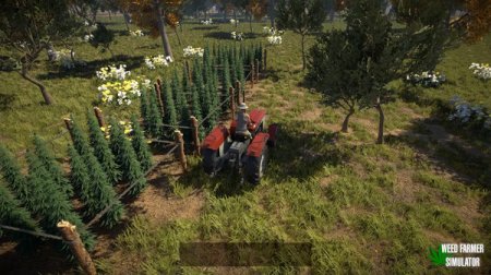 Weed Farmer Simulator (2020)  