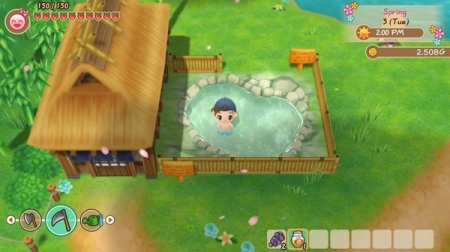 STORY OF SEASONS: Friends of Mineral Town (RUS) PC  