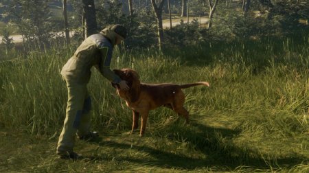 theHunter: Call of the Wild - Bloodhound (RUS/ENG) полная версия